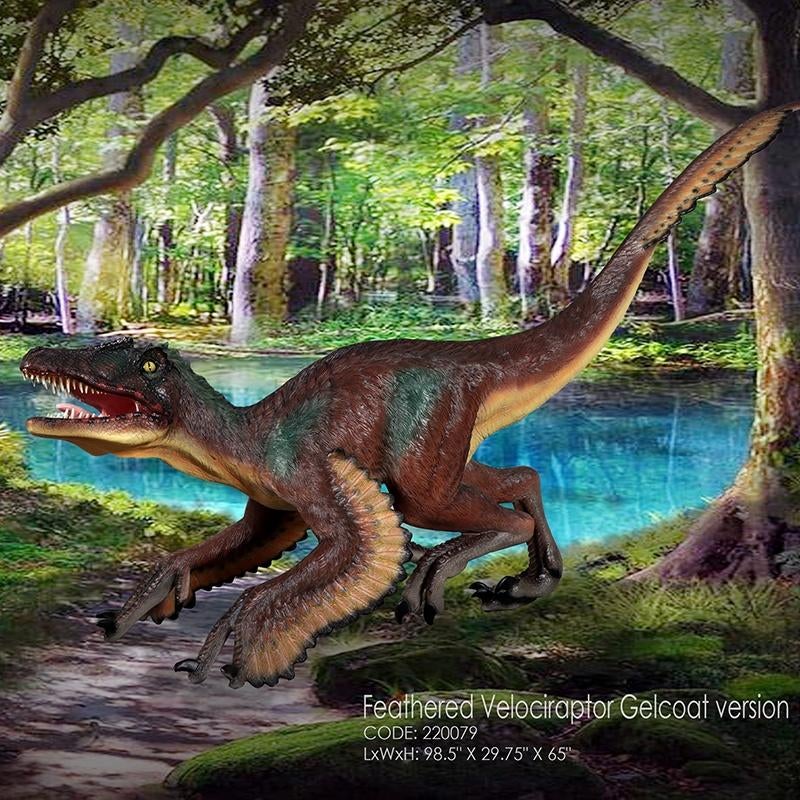 Feathered Velociraptor – Dinosaurus Lengte 251 cm, Ophalen, Nieuw