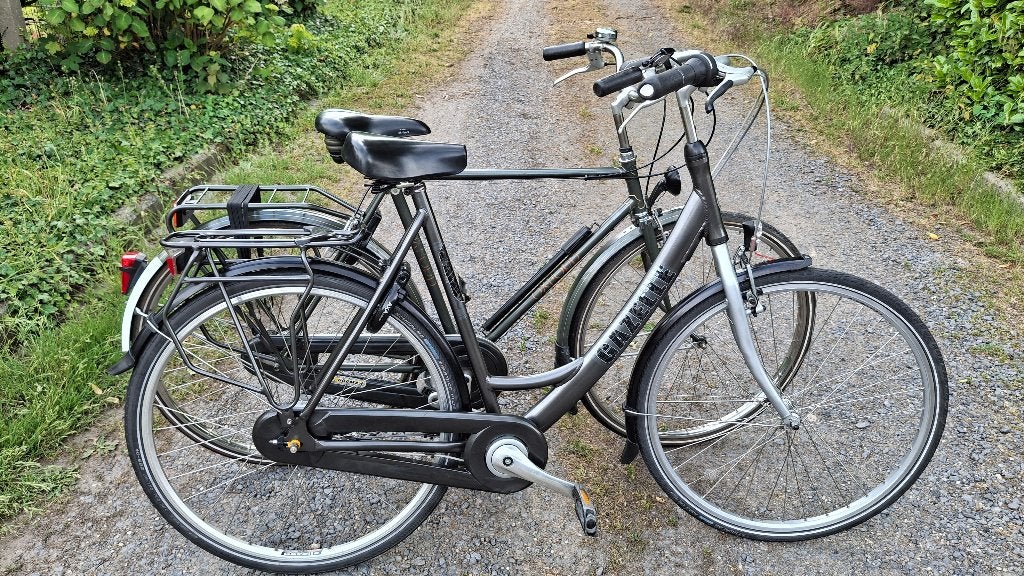 ZEER GROTE goede alu. GAZELLE Esprit N7 damesfiets ALS NIEUW, Vitesses, Comme neuf, Enlèvement, 56 cm ou plus