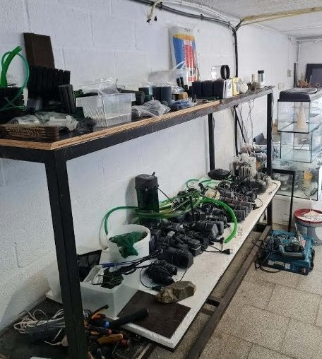 grote aquariumstelling, Dieren en Toebehoren, Ophalen