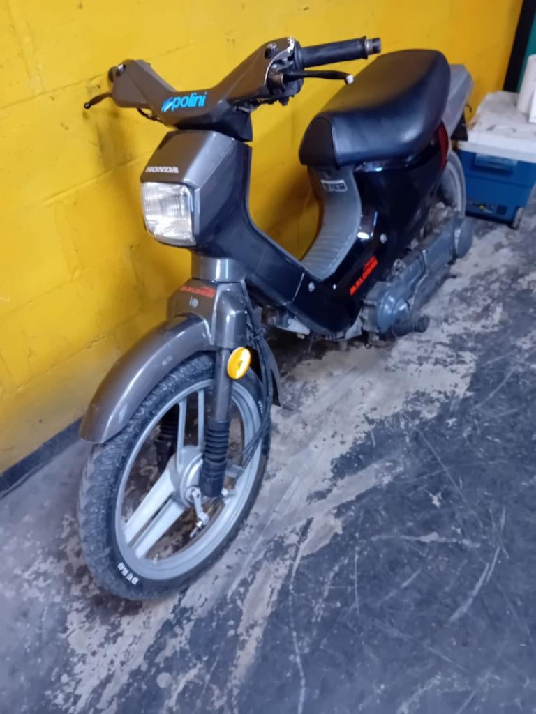 Honda wallaroo, Fietsen en Brommers, Brommers | Tomos, Ophalen