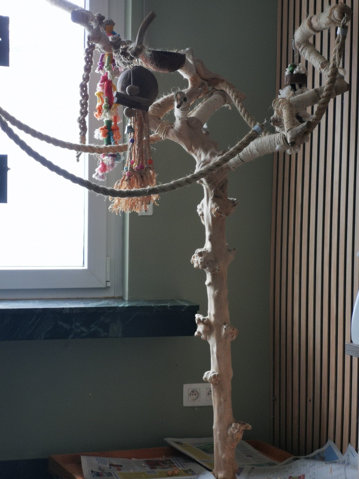 Java boom, Dieren en Toebehoren, Vogels | Toebehoren, Ophalen, Speelgoed