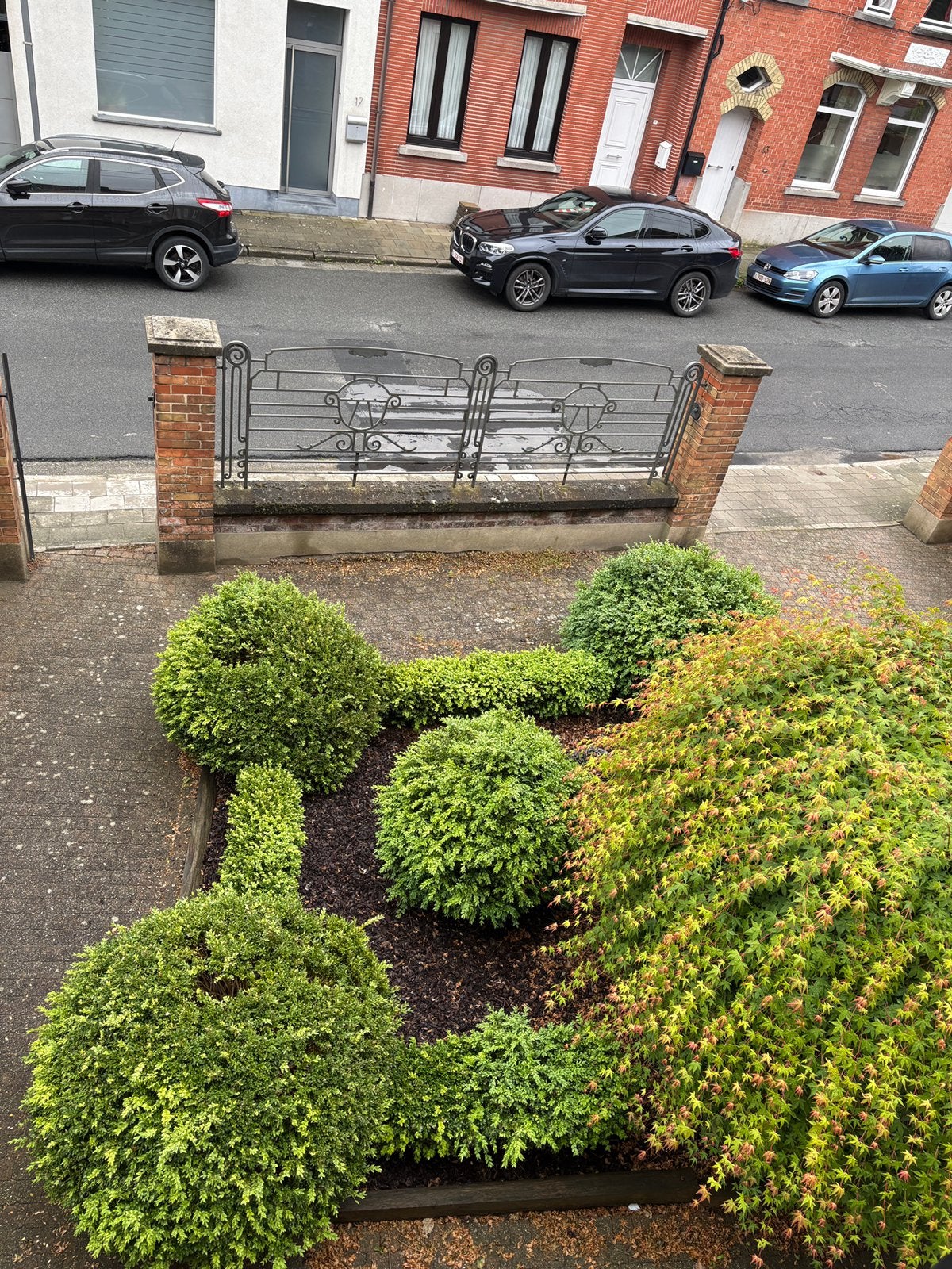 4 grote buxus planten en 4 lage buxus haagjes, Tuin en Terras, Ophalen, Buxus, Struik, 100 tot 250 cm