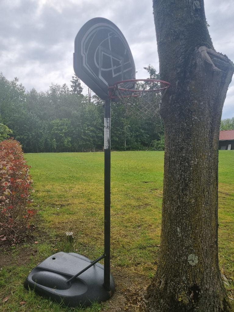 Basketbalpaal Lifetime, Ophalen, Gebruikt, Ring, Bord of Paal
