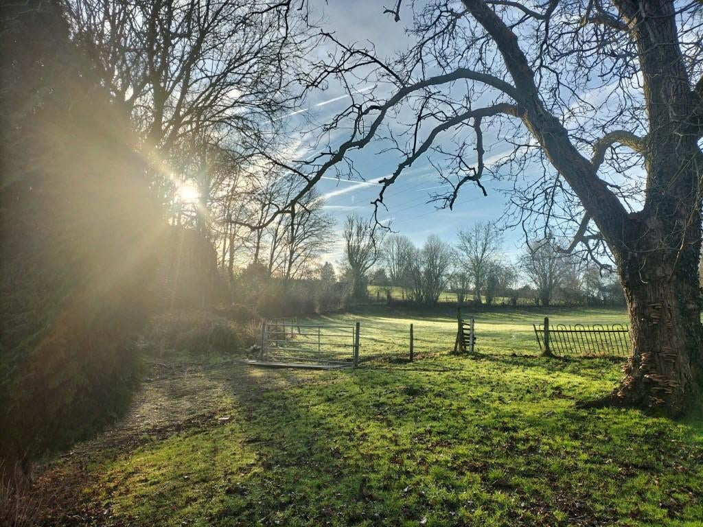 2 Boxes + prairie pour max. 2 chevaux – Autonomie totale, Animaux & Accessoires, Pâturage, 1 cheval ou poney