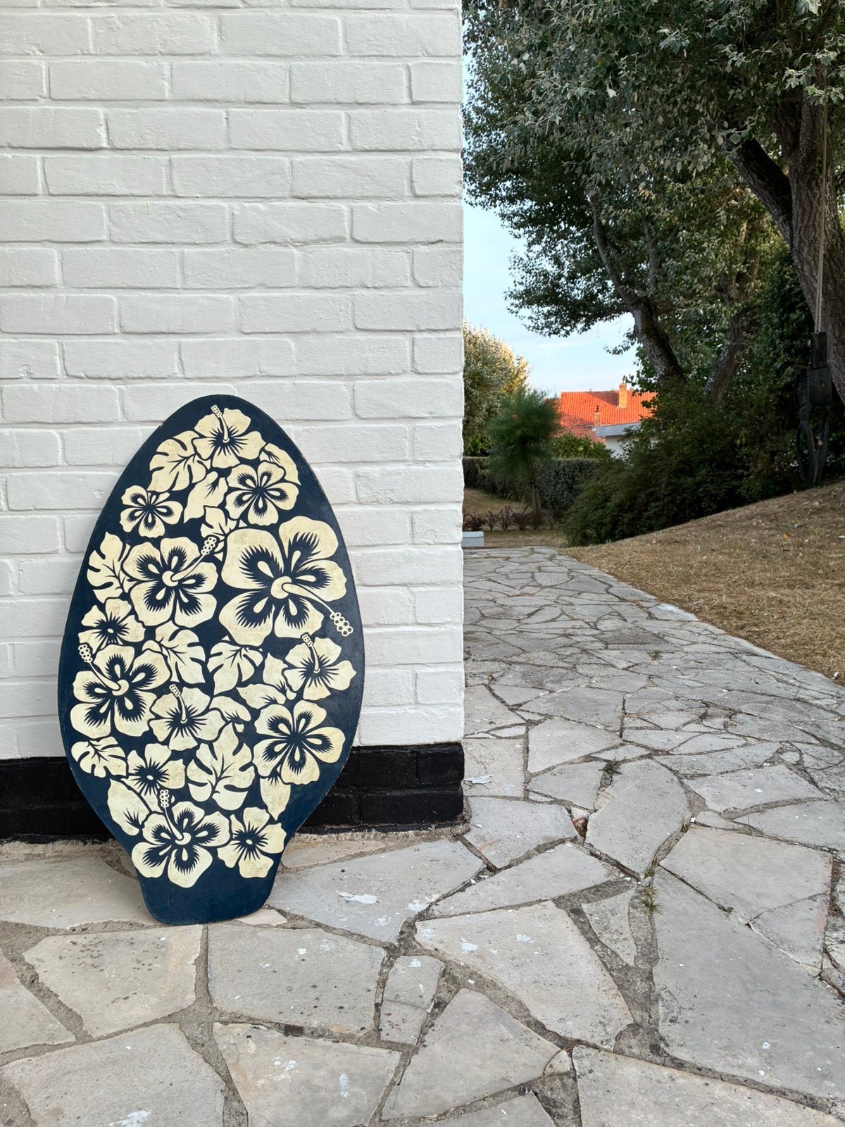skimboard, Enlèvement, Utilisé, Funboard