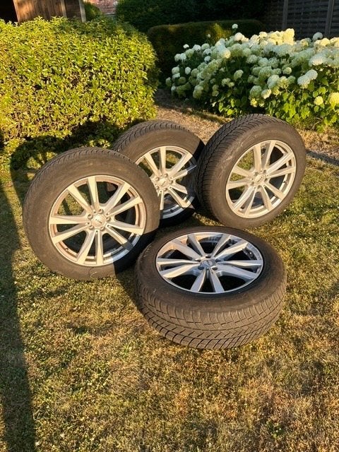 velgen met winterbanden, Auto-onderdelen, Banden en Velgen, Ophalen, Gebruikt, 255 mm, Velg(en)