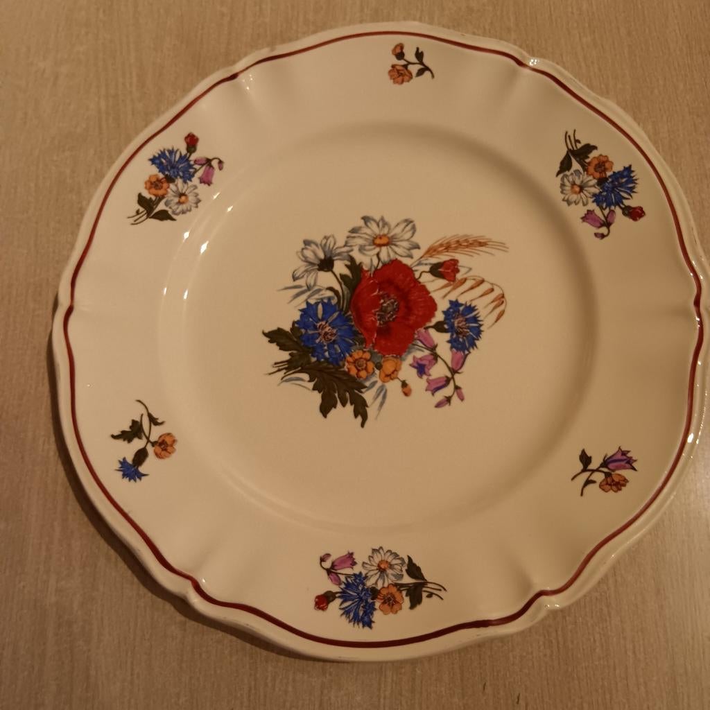 Groot bord, Antiek en Kunst, Ophalen