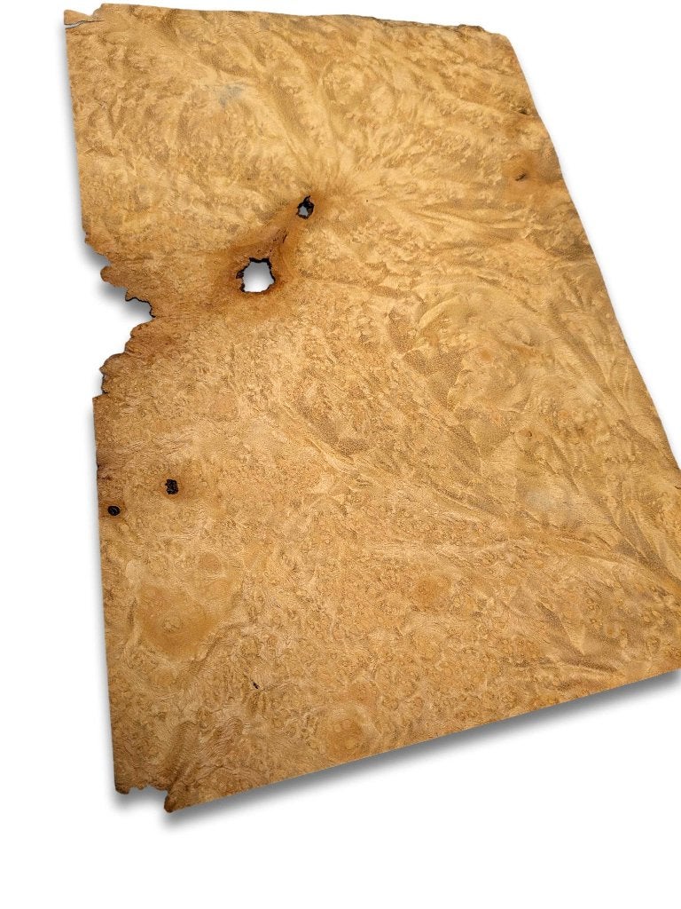 placage de racine de madrona (doré) | 31x20 cm, Envoi, Neuf