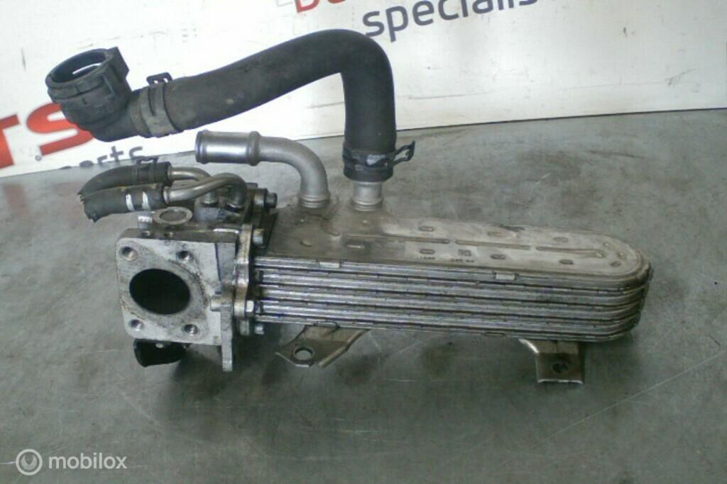 EGR-koeler ​​038131513AD​ 1.9TDI BKC BXE VAG, Gebruikt, Volkswagen, Ophalen of Verzenden, Volkswagen