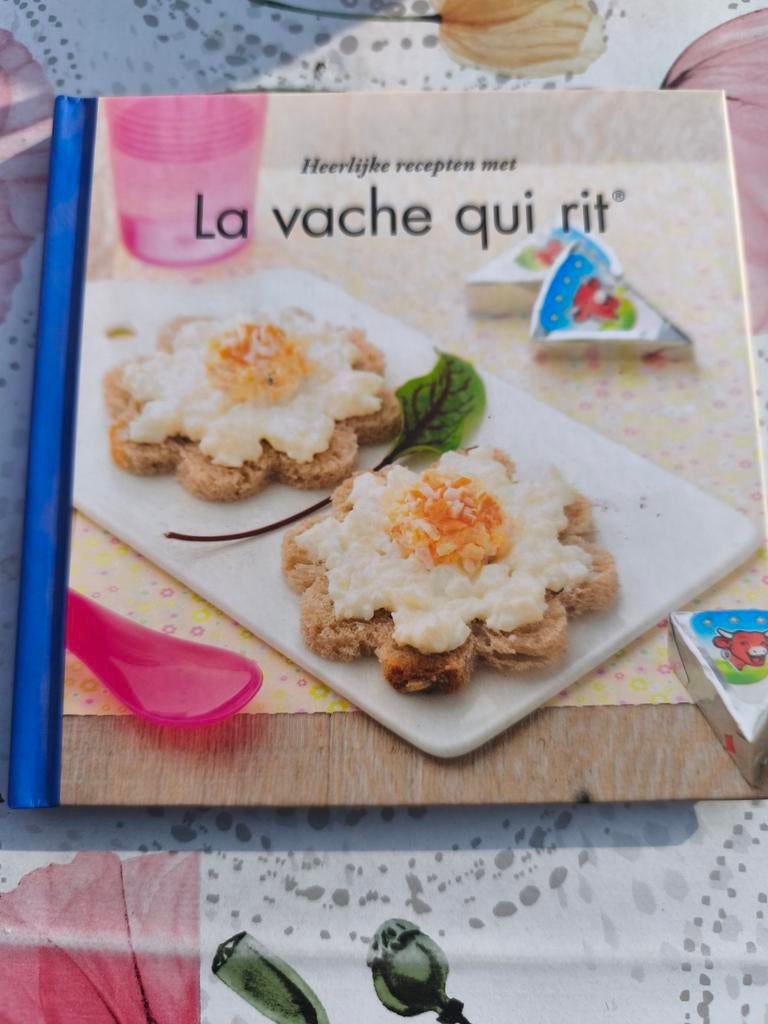 Boekje met recepten, Ophalen of Verzenden