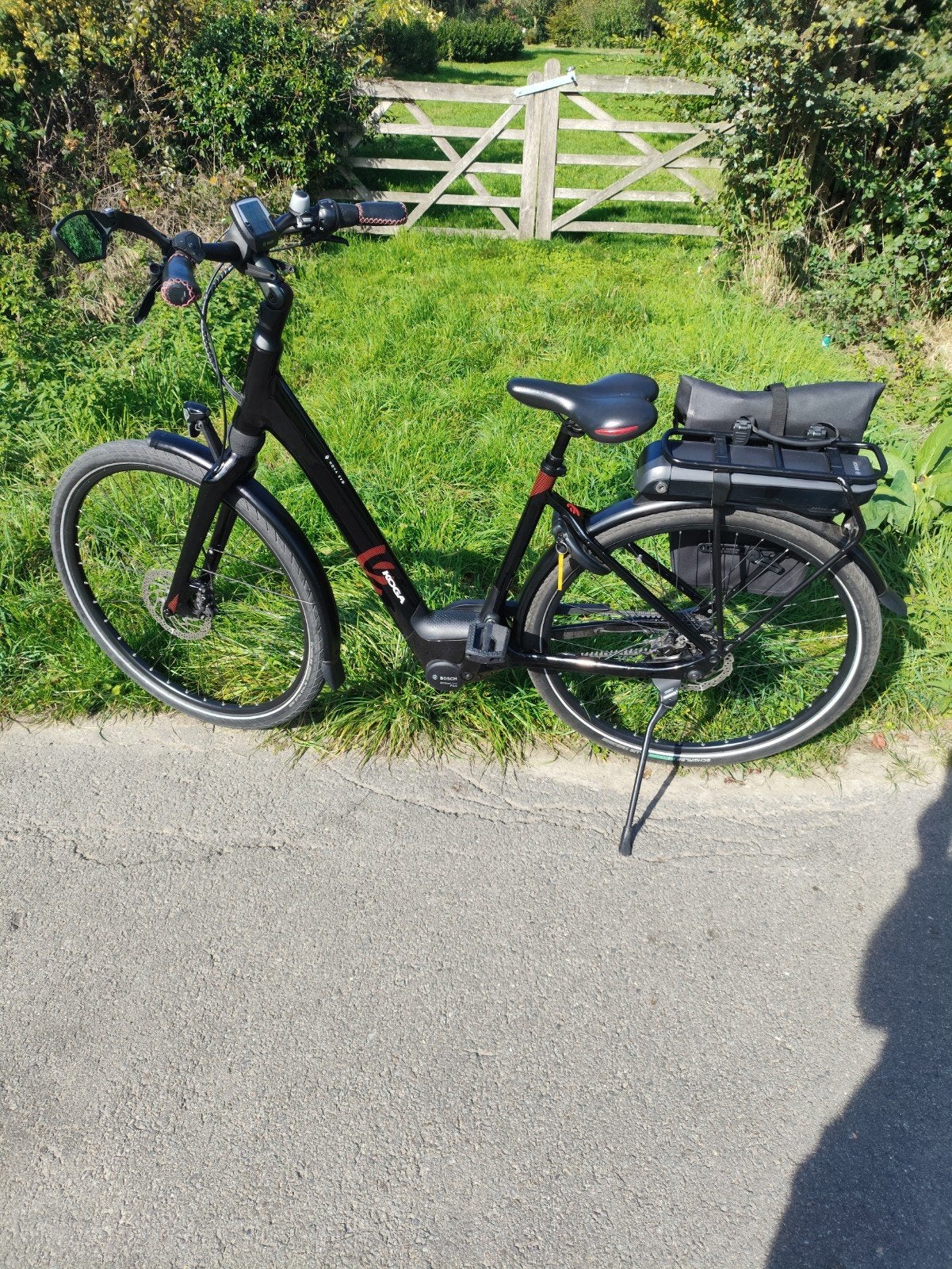 vélo électrique, Enlèvement