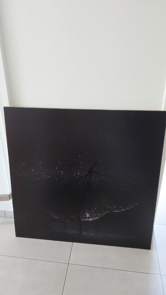Kunstfotografie - 100cm x 100cm - ultralicht- was 500 eur, Ophalen of Verzenden