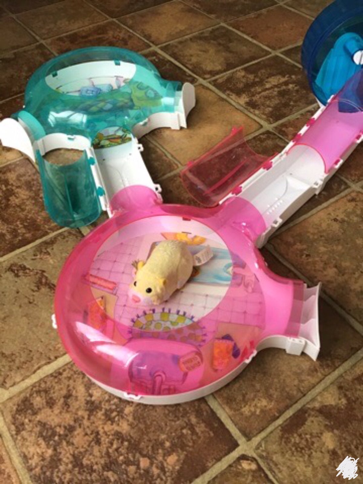 Zhu Zhu pets, Ophalen, Zo goed als nieuw