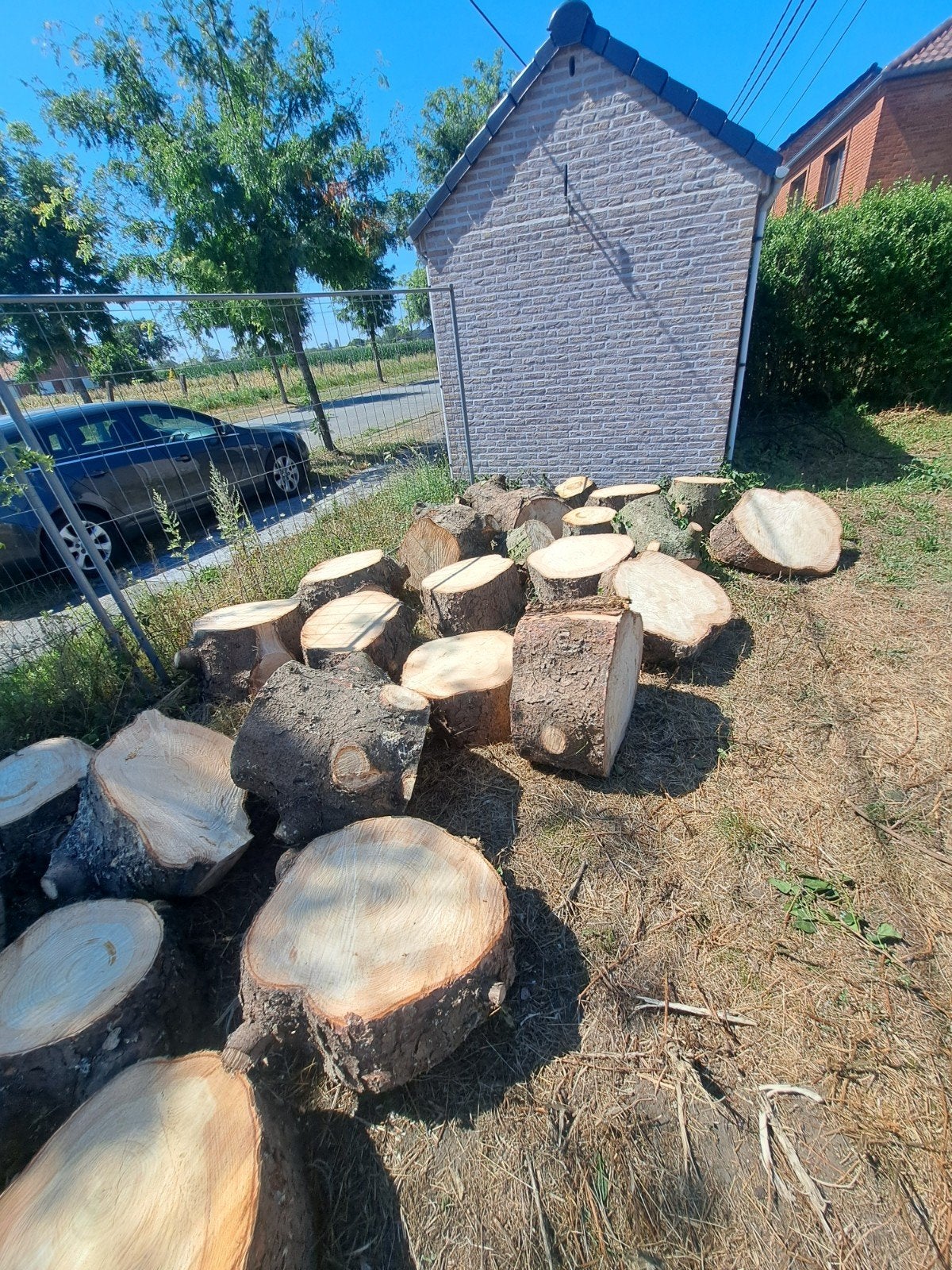 Bois à donner, Enlèvement
