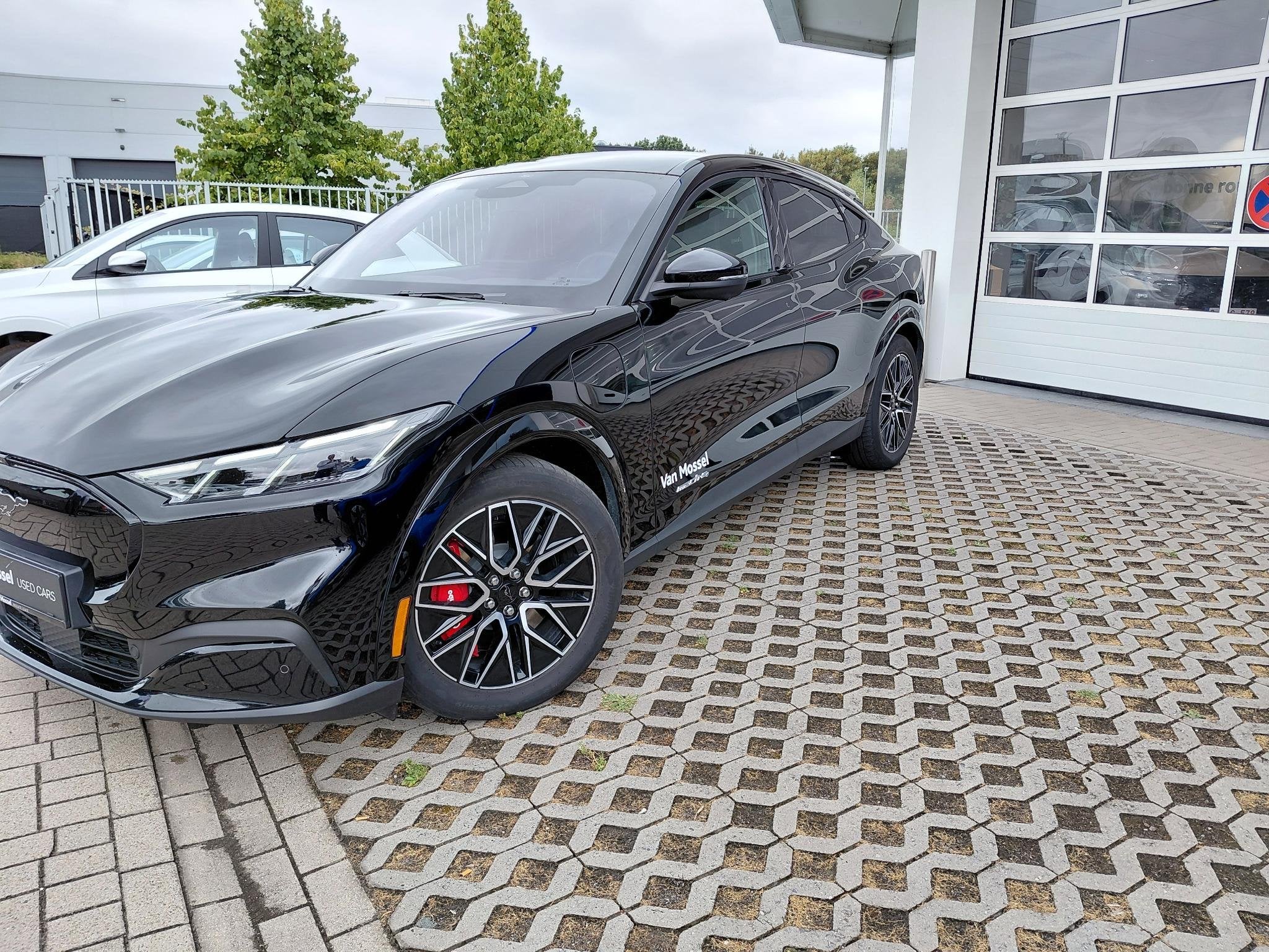 Ford Mustang Mach-E 88kWh 276kW Extended Range Premium AWD, Autos, Achat, 550 km, Entreprise, https://public.car-pass.be/vhr/5c448f66-306e-4f88-807c-8afbefb8b550