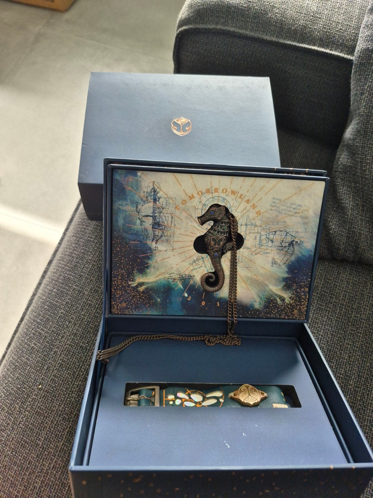 Treasure case Tomorrowland 2018, Verzamelen, Ophalen of Verzenden