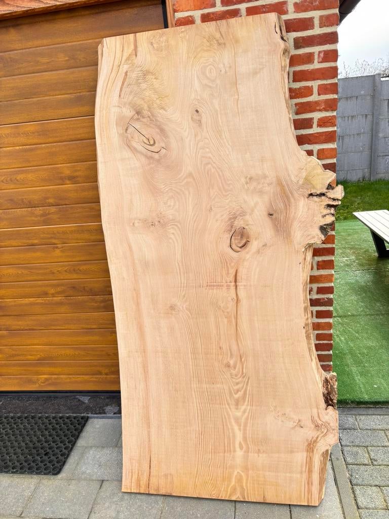 Planches de tronc d'arbre, Enlèvement, Neuf, Planche