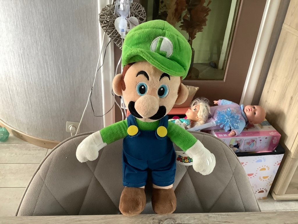 Personnage en peluche Supermario Luigi (30 cm), Enlèvement ou Envoi, Comme neuf, Super Mario, Autres types