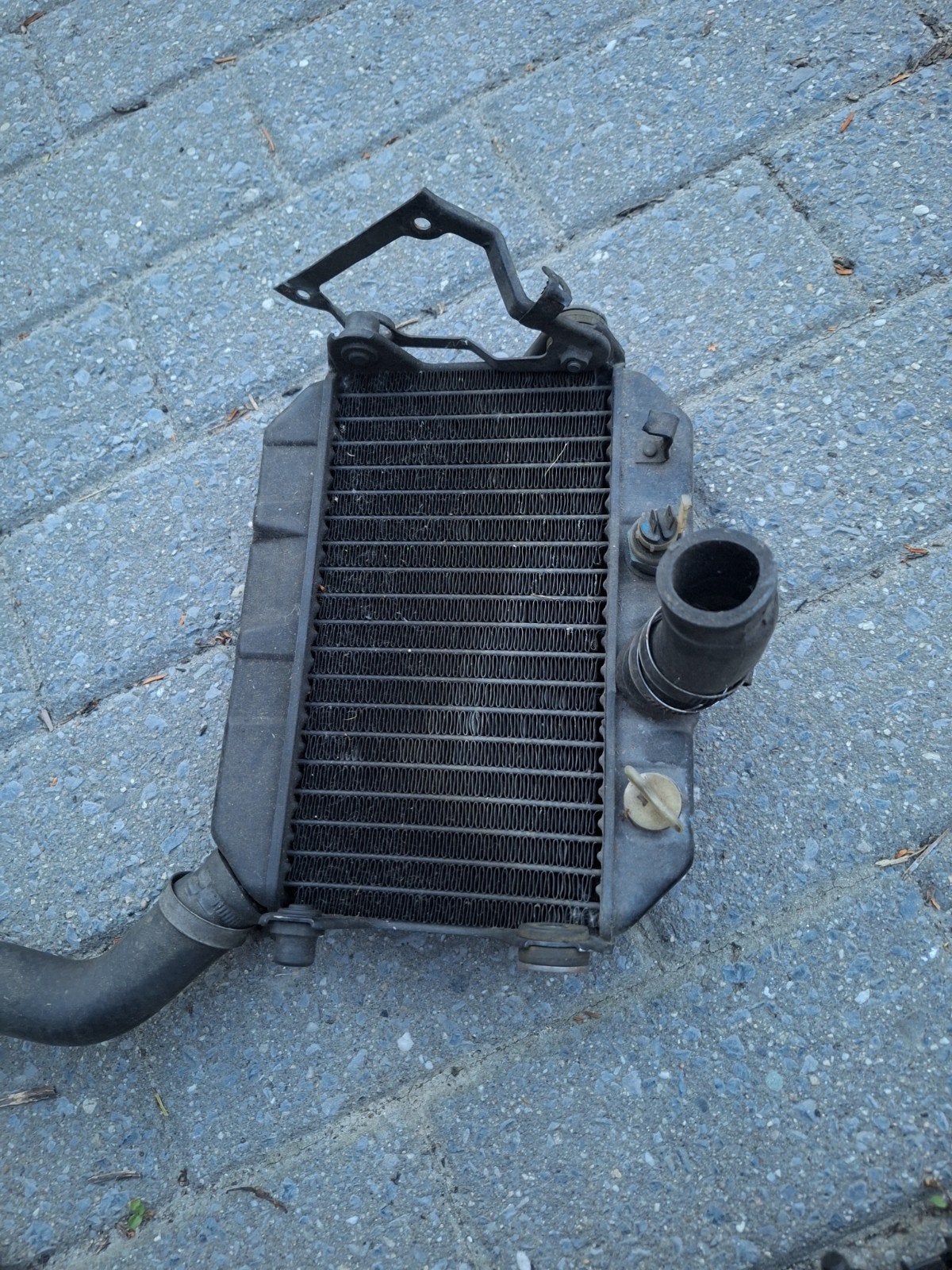 Liquide de refroidissement du radiateur inférieur pour Honda, Motos, Enlèvement