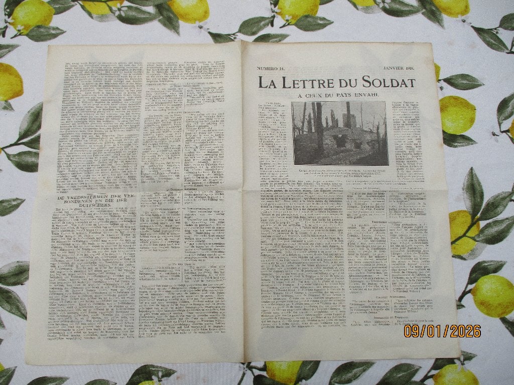 1 GM : brochure sur les territoires occupés belges de 1918, Enlèvement ou Envoi