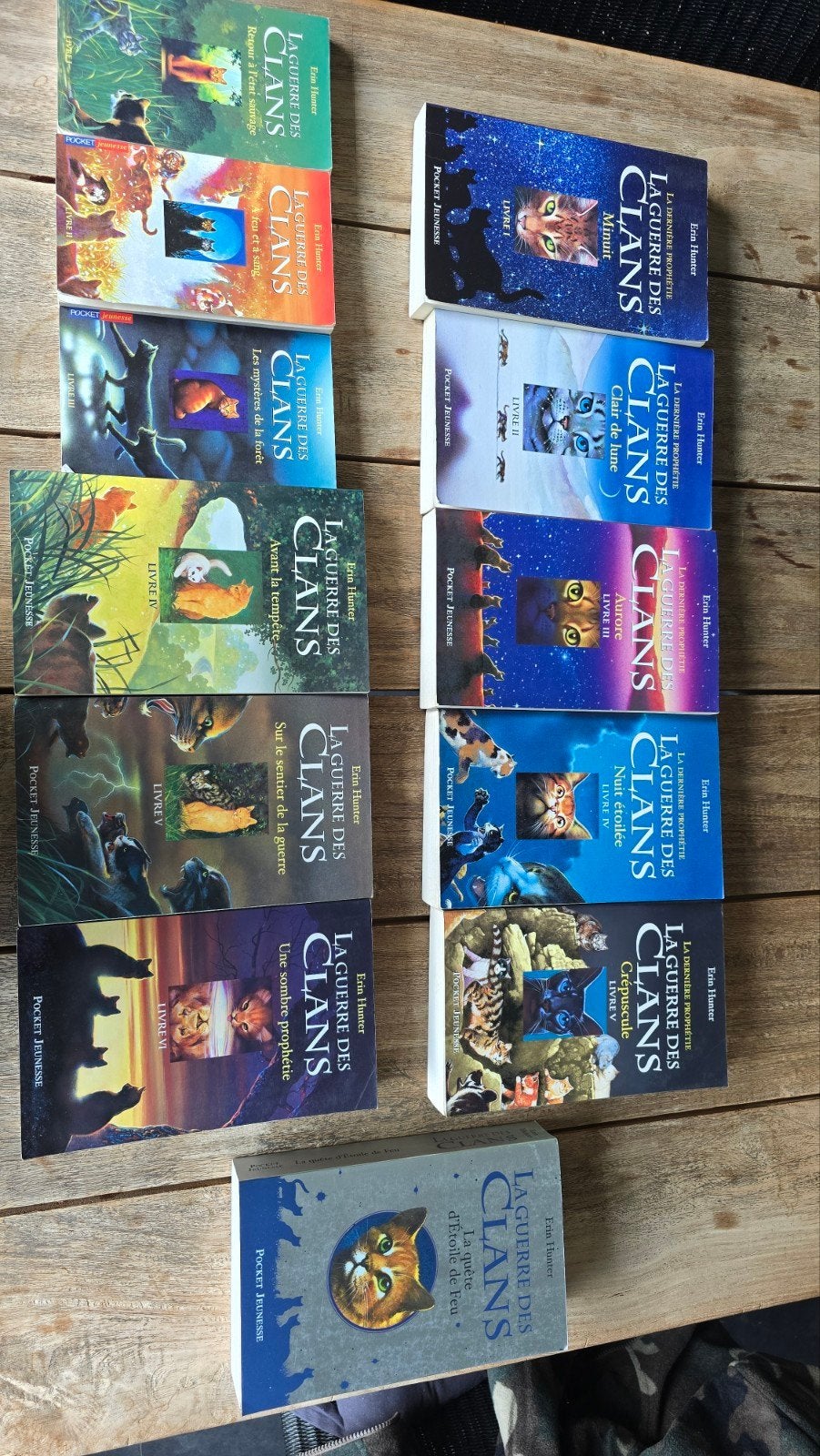 la guerre des Clans, Erin Hunter, la gu. des cl., la dernièr, Enlèvement ou Envoi, Utilisé