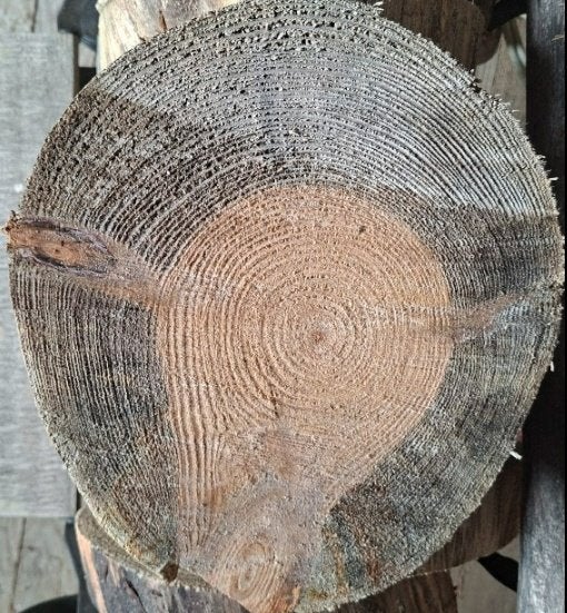 Disques en bois de 25 x 30 cm d'épaisseur 6 cm Disques Noël, Divers, Enlèvement ou Envoi
