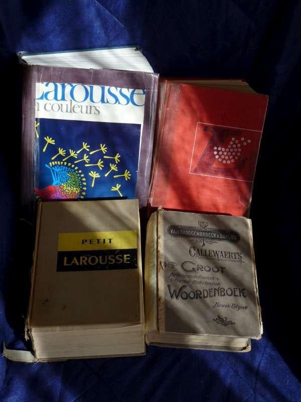 Groot lot woordenboeken, Boeken, Woordenboeken, Ophalen of Verzenden, Gelezen, Kramers, Frans