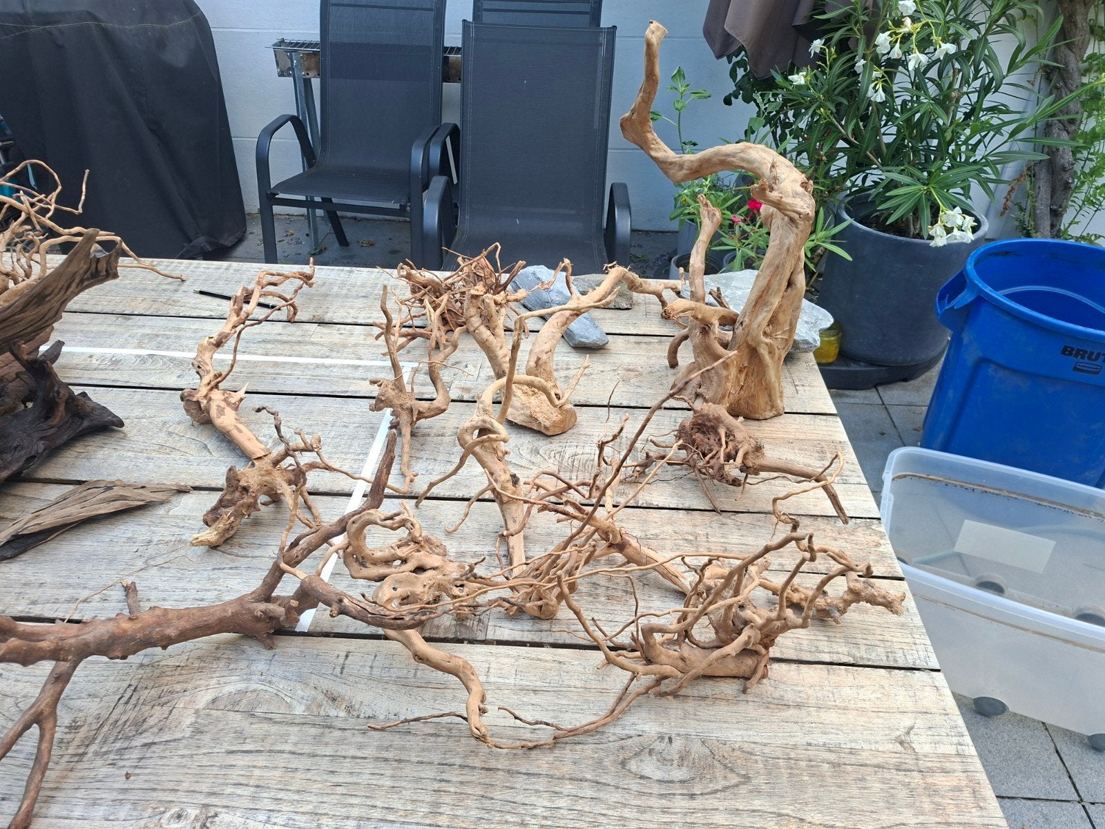 spiderwood - verschillende formaten, Dieren en Toebehoren, Ophalen, Zo goed als nieuw