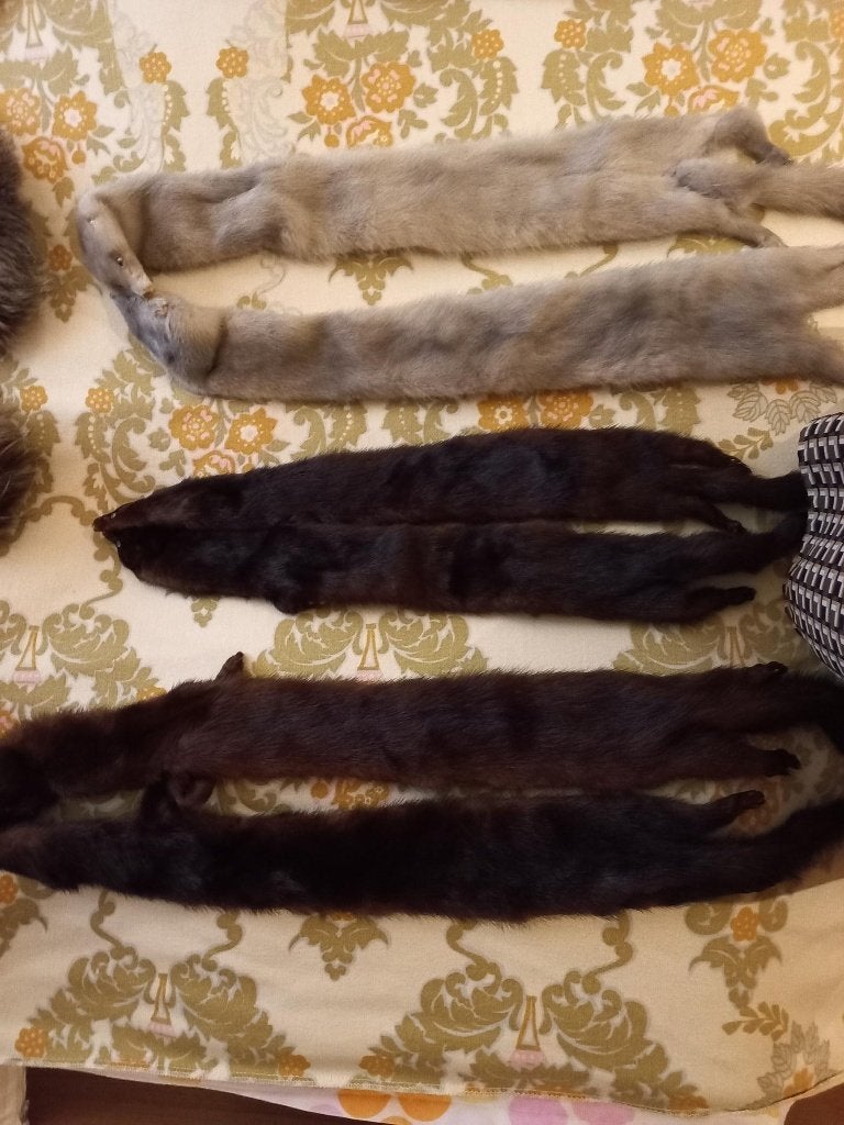Echarpes en fourrure, Enlèvement, Comme neuf