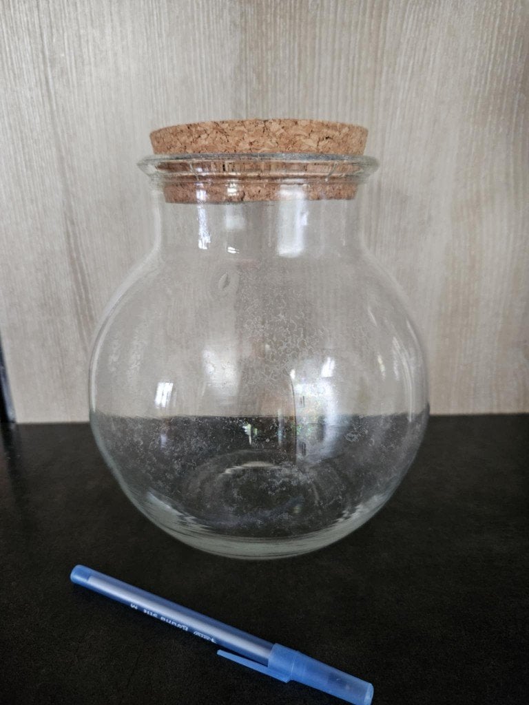Terrarium globe pour plantes vase pot fleur, Maison & Meubles, Enlèvement ou Envoi, Utilisé, Verre
