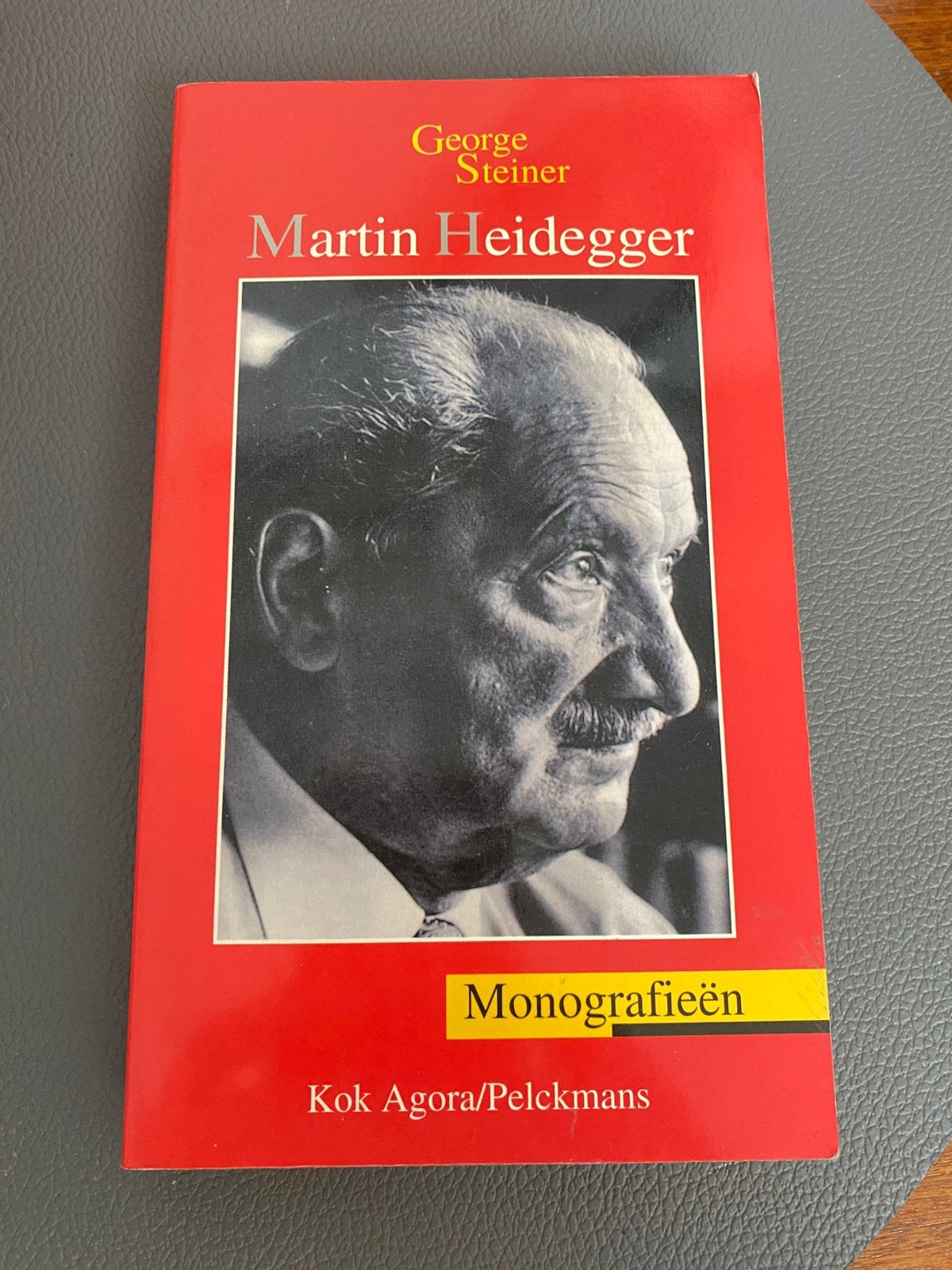 Boek Martin Heidegger monografieën, Ophalen, Gelezen