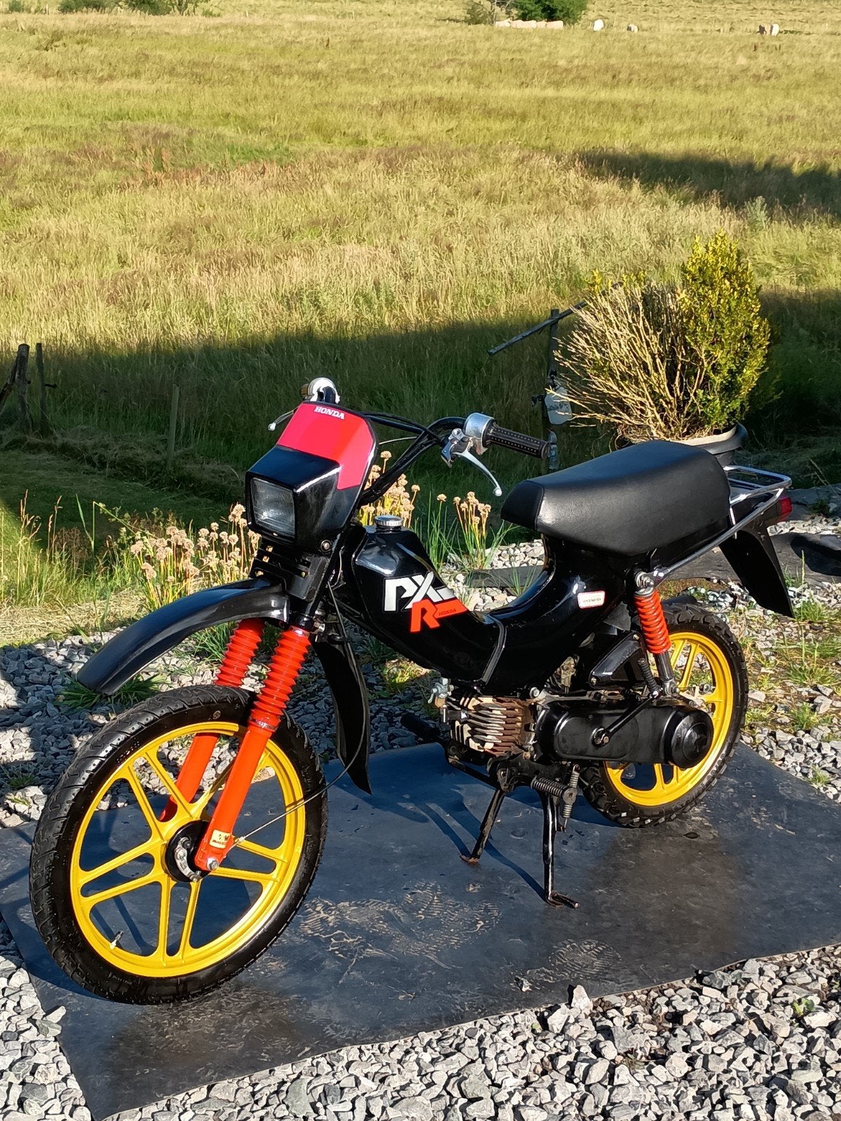 Cyclomoteur HONDA PXR " 1980 " Classe A ( Touts Papiers ), Autres modèles, Comme neuf, Enlèvement, Classe A (25 km/h)