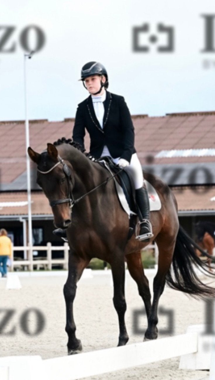 Allerliefste GOEDGEKEURDE allround merrie te koop, Merrie, Met stamboom, M, Dressuurpaard