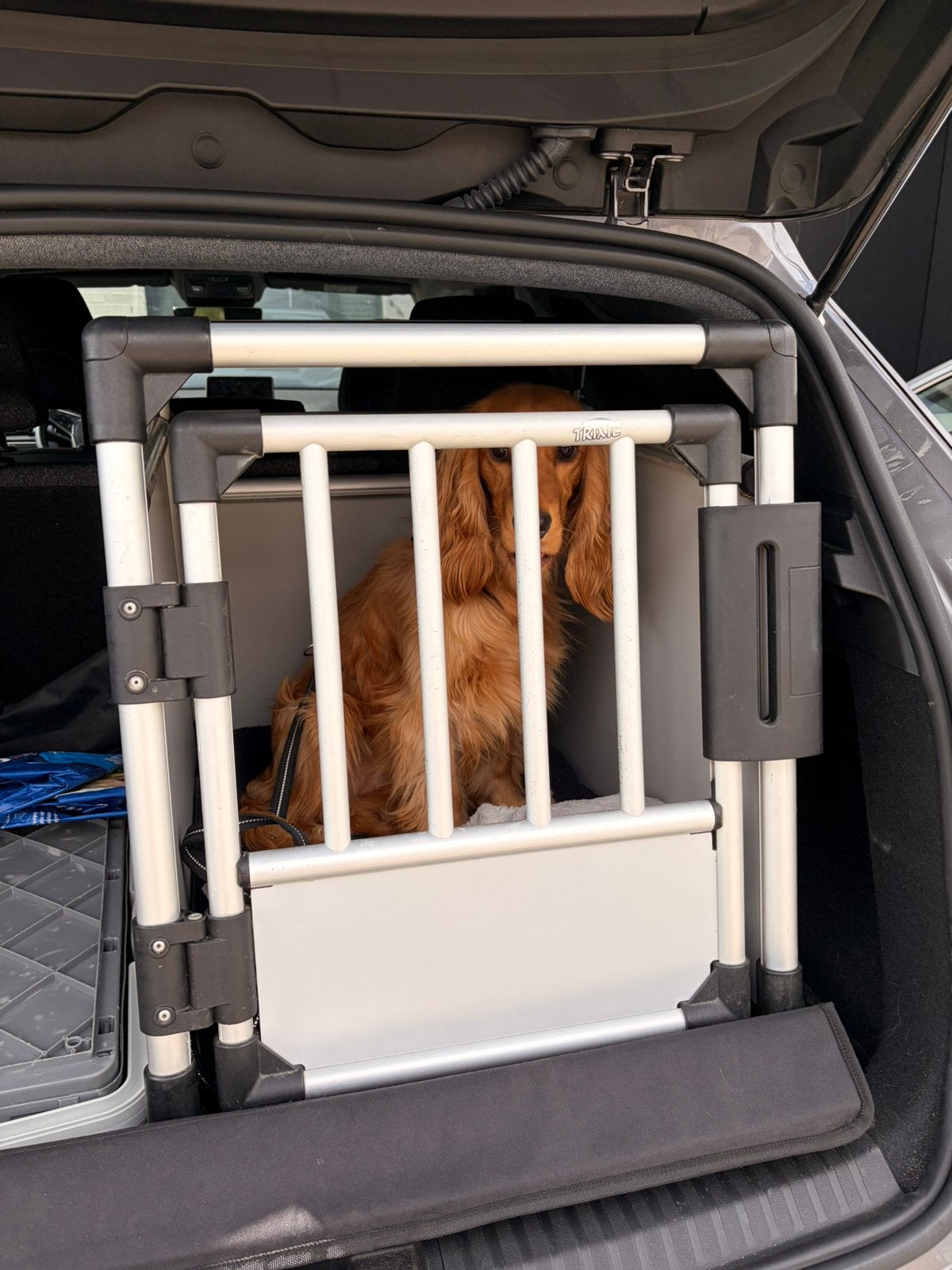 Hondenbench - Trixie (+bumperbescherming), Animaux & Accessoires, Maisons pour chiens, Enlèvement, Comme neuf