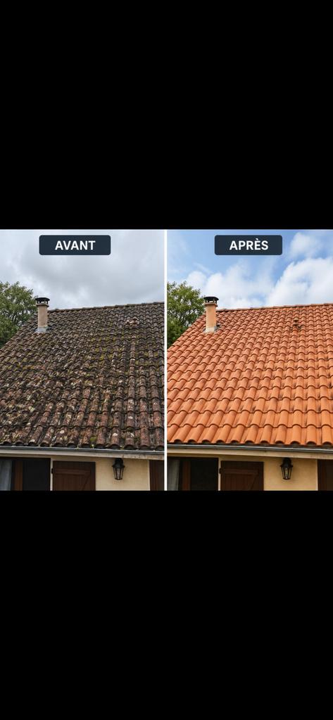 Nettoyage toiture veranda voltaique, Enlèvement ou Envoi, Comme neuf