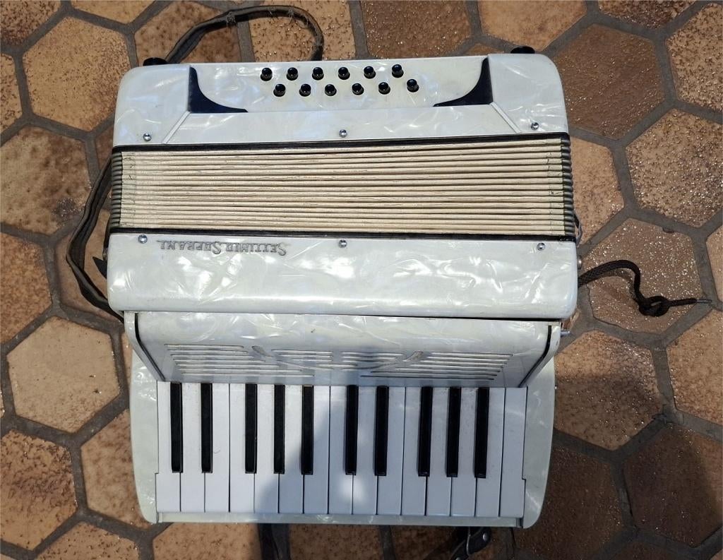 accordeonfestival @ Thoma Okaze : -50% op alles, Muziek en Instrumenten, Accordeons, Ophalen, Overige merken