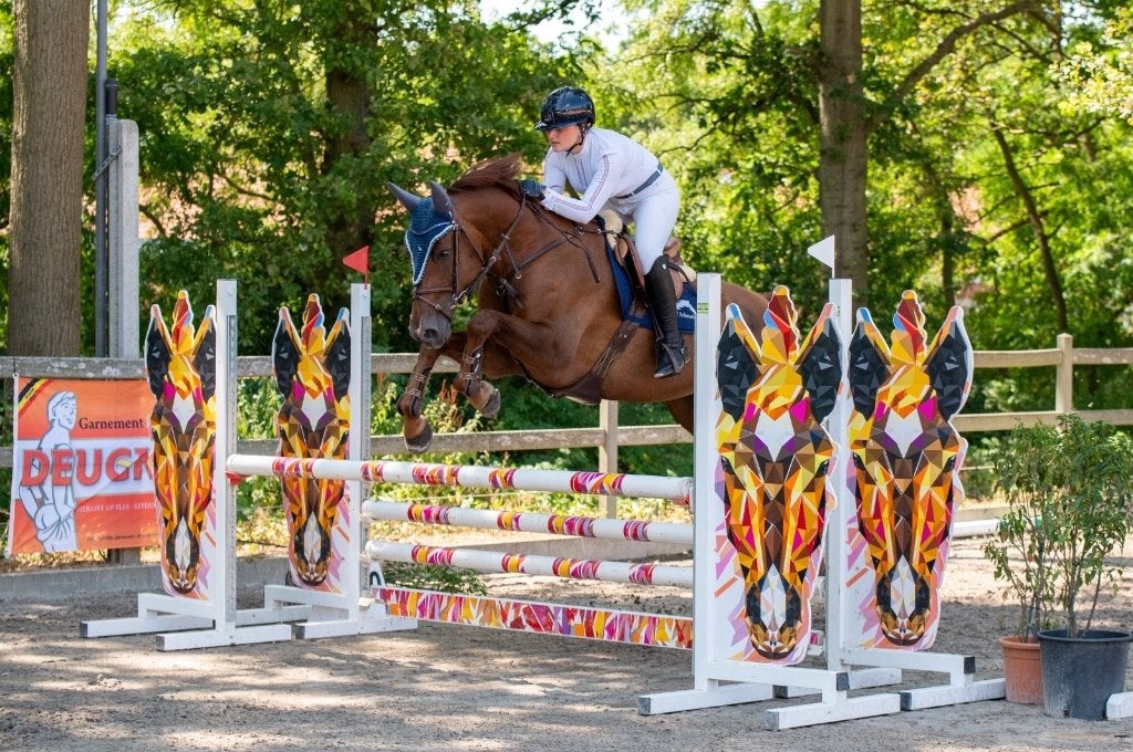 Spring merrie te koop, Merrie, Springpaard, 11 jaar of ouder, 165 tot 170 cm