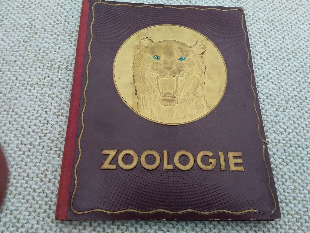 Verzamelen prentenboek, Enlèvement ou Envoi, Comme neuf, Livre d'images