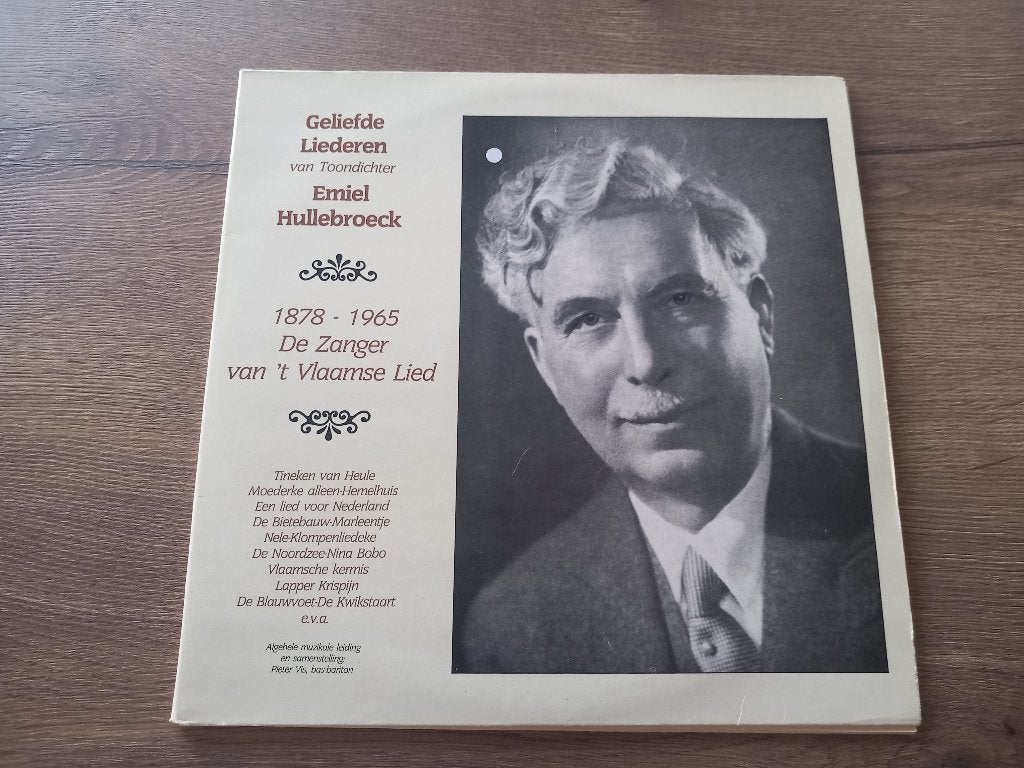 Vinyle 2LP Emiel Hullebroeck Chansons et poèmes bien-aimés, 12 pouces, Enlèvement ou Envoi, Musique régionale, Double LP