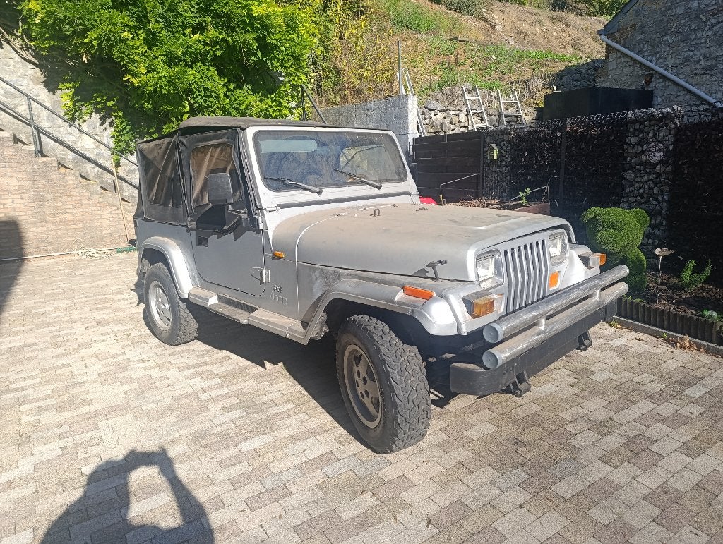 Jeep Wrangler lire annonce, Autos, Jeep, Achat, 2 places, Boîte manuelle