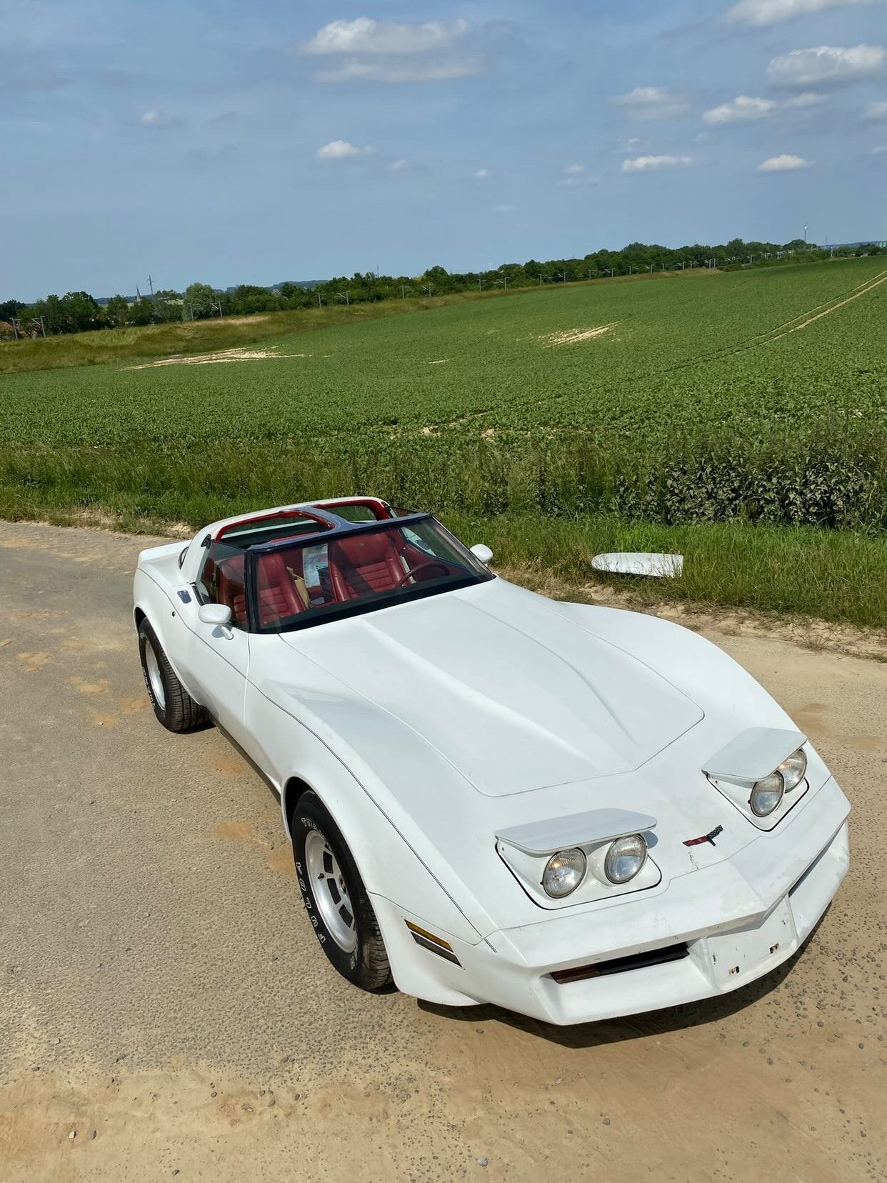 Projet Corvette C3 1981, Autos, Cuir, Achat, Chevrolet, 2 portes