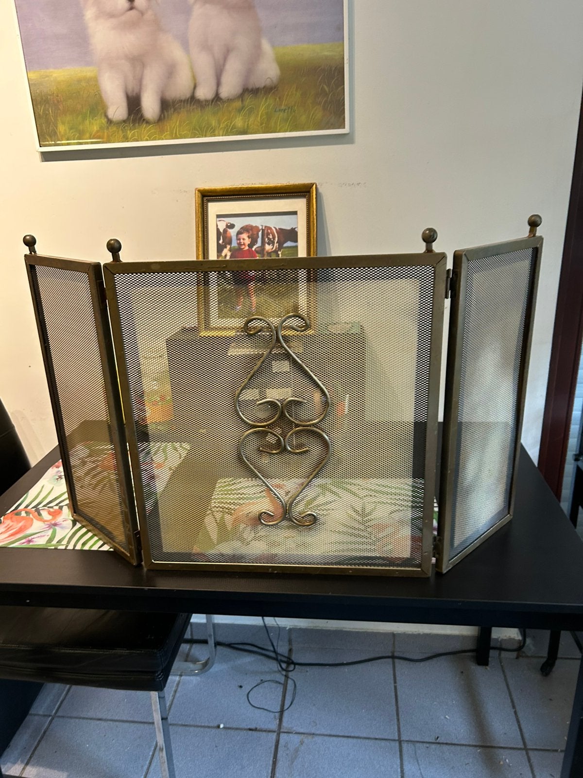 Open haard scherm, Huis en Inrichting, Haarden, Ophalen, Zo goed als nieuw