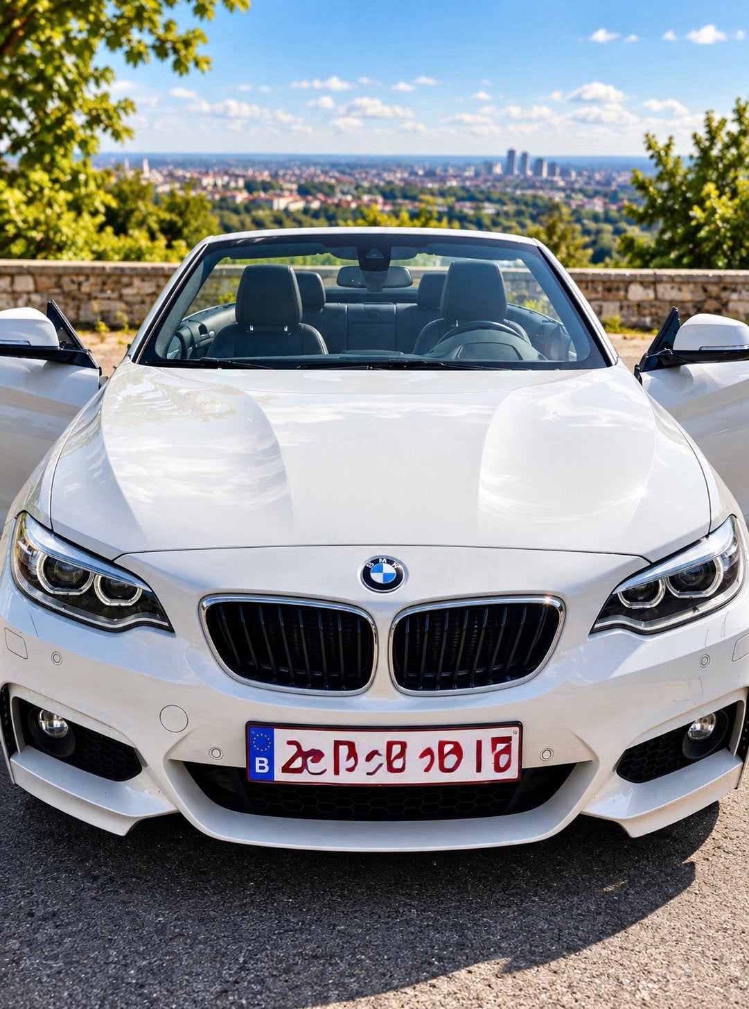 EURO 6 BMW Cabrio dA Pac M SPORT, Autos, Cuir, Cabriolet, Carnet d'entretien, 2 portes
