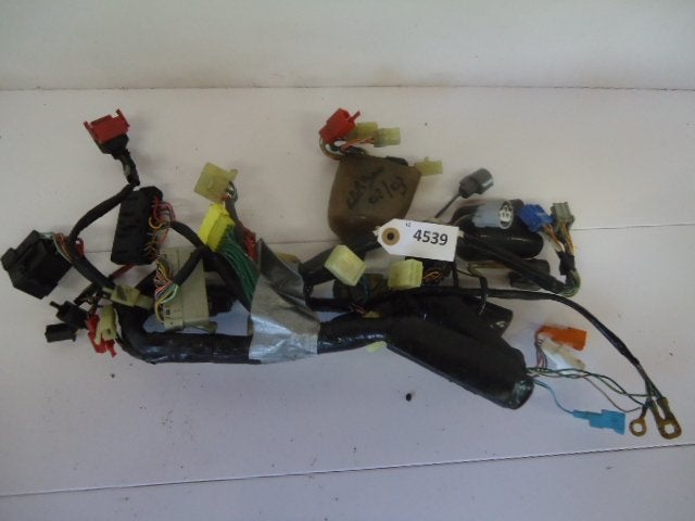 CBR900 2002 - 2003 Honda Kabelboom Kabelboom hoofd D1-16760
