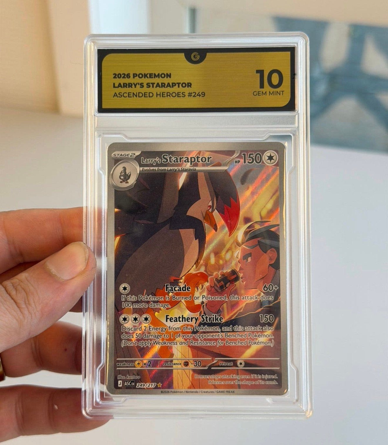 Pokemon Larry's Staraptor 249/217 Héros ascensionnés de 10, Enlèvement ou Envoi, Neuf, Cartes en vrac, Foil