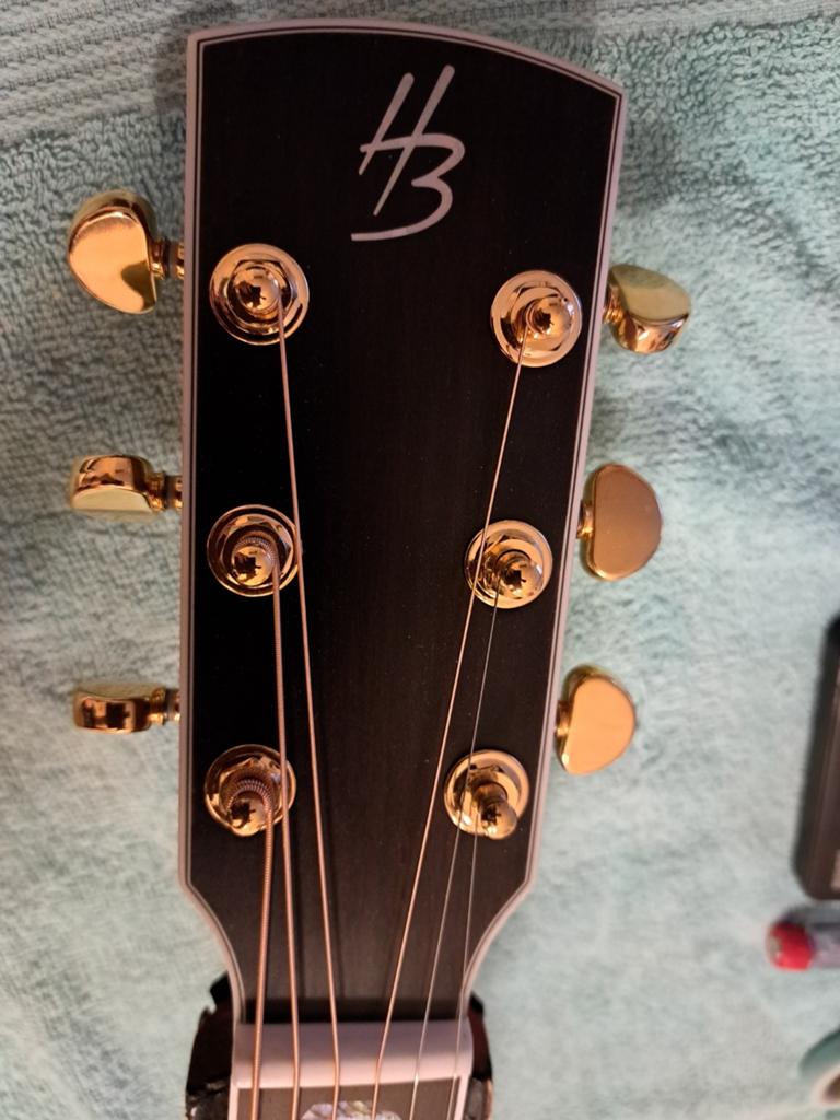 Harley benton gitaar nieuw, Enlèvement ou Envoi