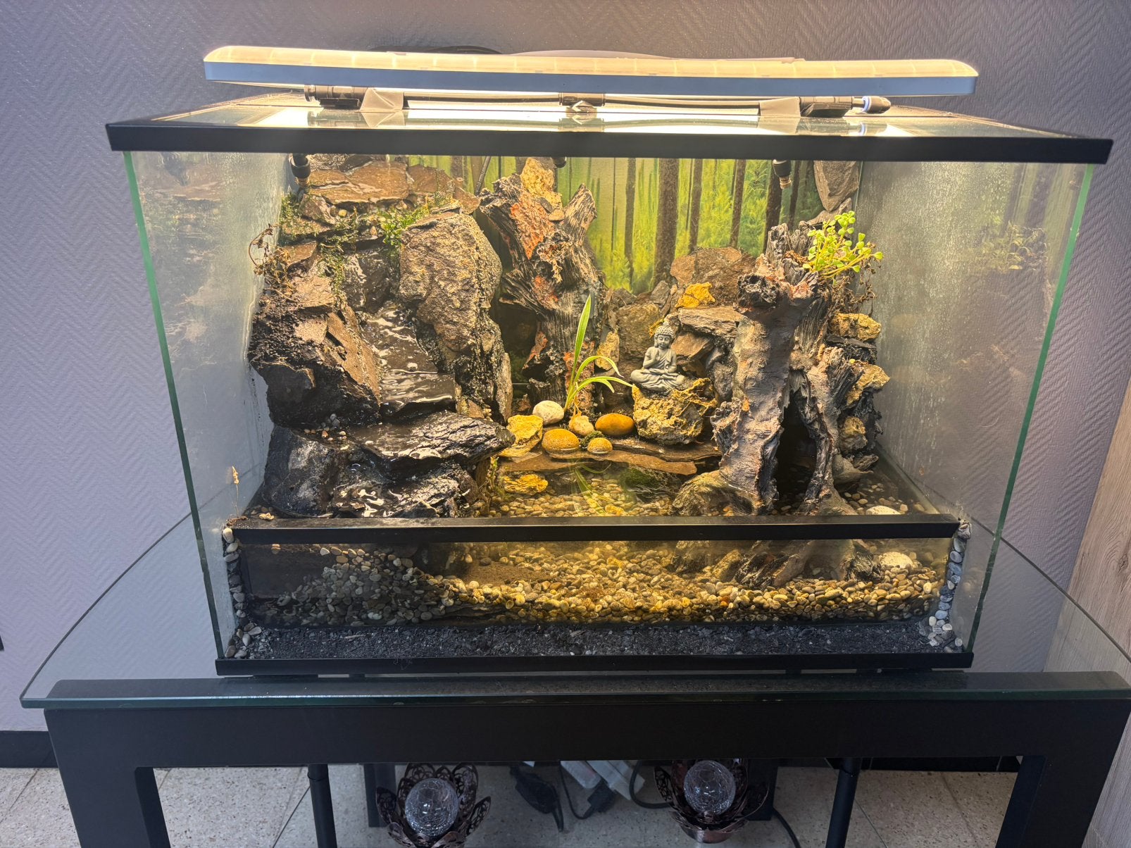 paludarium, Ophalen, Gebruikt