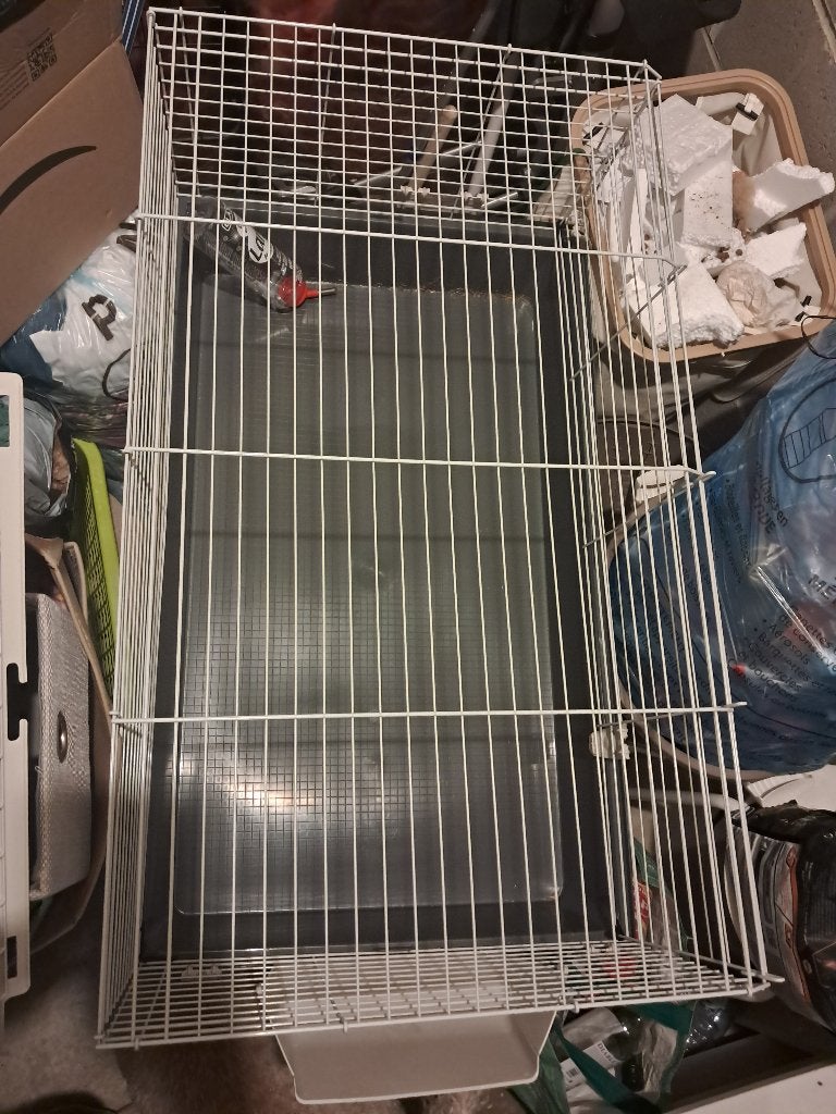 Cage pour rongeur, Moins de 60 cm, Cage, Comme neuf, Cobaye
