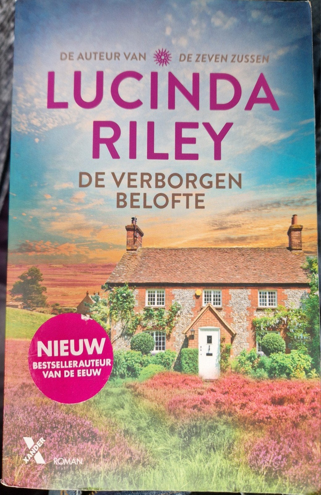 Lucinda Riley - De verborgen belofte, Livres, Littérature, Enlèvement, Lucinda Riley