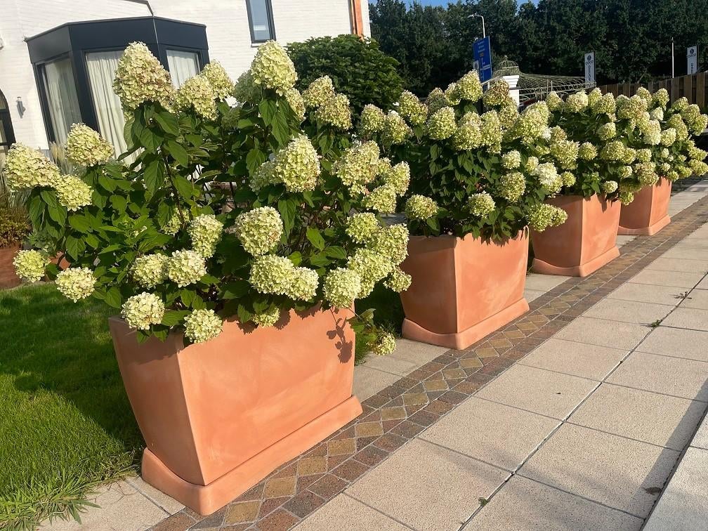 4x XXL kunststof plantenbak BLOEMBAK compleet met Limelights, Jardin & Terrasse, Balcon, 40 cm ou plus, 70 cm ou plus, Comme neuf